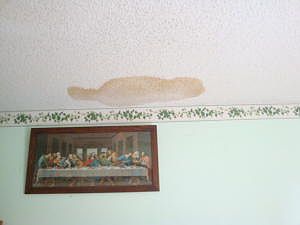 4th image of 4883 Pimlico Ct