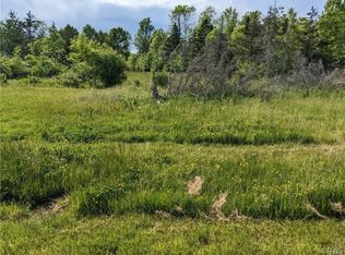 Old Town Springs Rd Lot 37, Chaumont, NY 13622