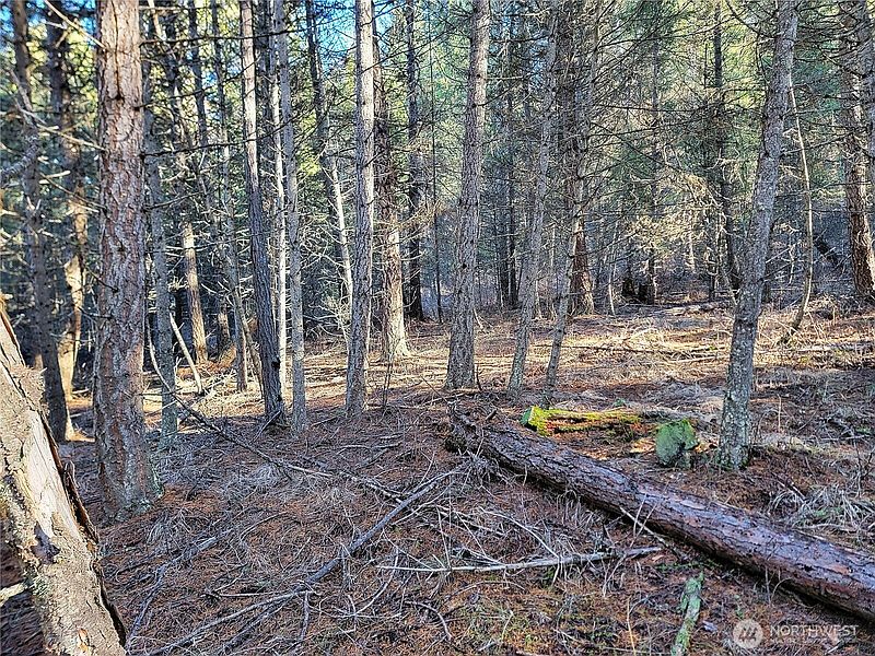 3rd image of 9999 TBD Lundimo Meadows Road