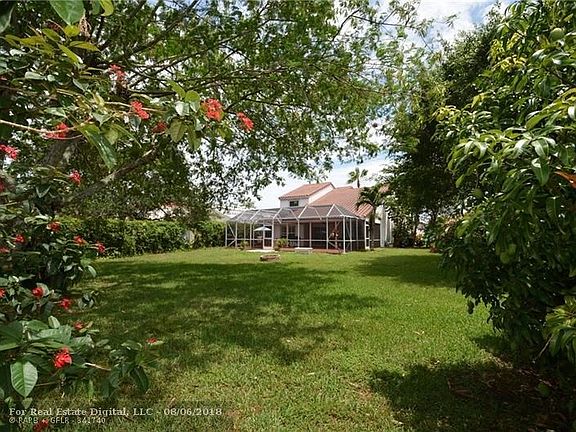 OVER-SIZED YARD WITH FRUIT TREES