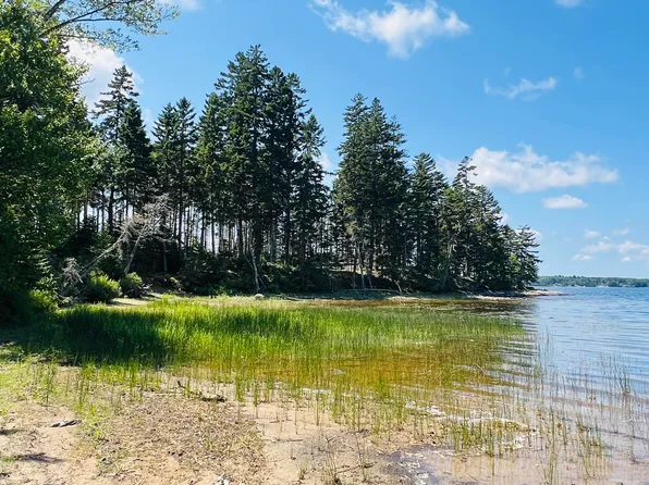 339 Gardner Lake Road, Whiting, ME 04691