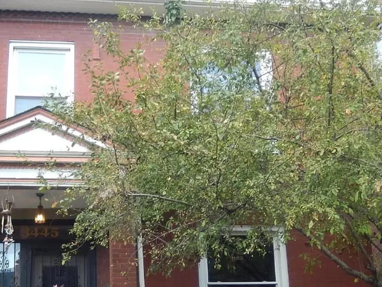 3445 Magnolia Ave — Photo 10