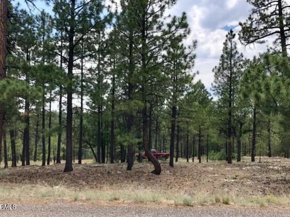 2526 WELL WATER Road #322, Happy Jack, AZ 86024