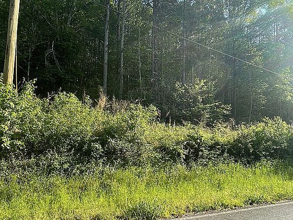 3rd image of 0 Lower Gordon Springs Rd