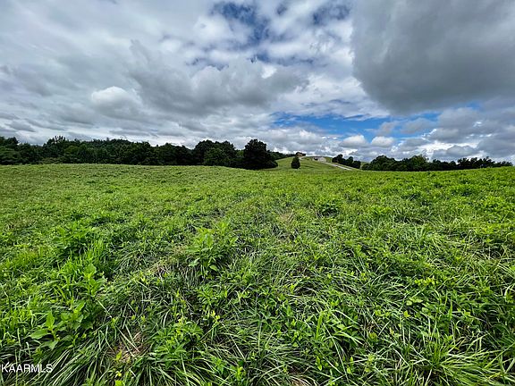 3rd image of LOT 133 Cinnabar Dr
