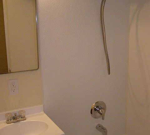 5th image of 829 Avenue C APT 6