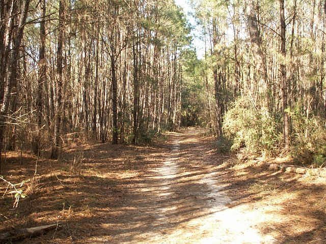 2nd image of 24281 Morgan Cemetery Rd