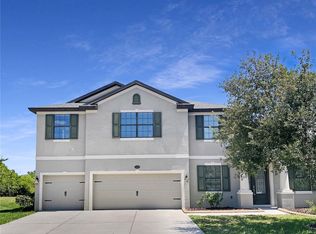 11602 Iris Spring Ct, Riverview, FL 33579