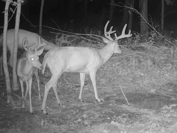 4th image of 51133 Creglow Rd