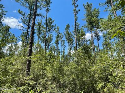 0 W Main St, Ponce De Leon, FL, 32455