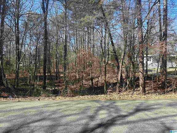 2nd image of LOT 3 Cottonwood Dr Lot 3