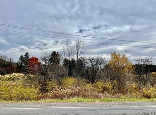 0 Hayes Hollow Rd #22, Colden, NY 14033