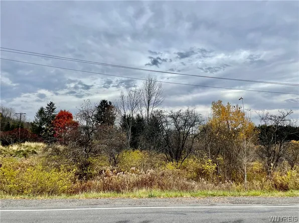 0 Hayes Hollow Rd #22, Colden, NY 14033