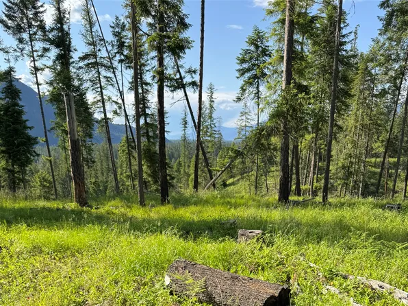 22 Flatiron Way, Thompson Falls, MT 59873