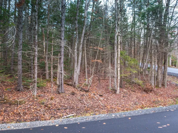 63 Villager Loop, Dover, VT 05356