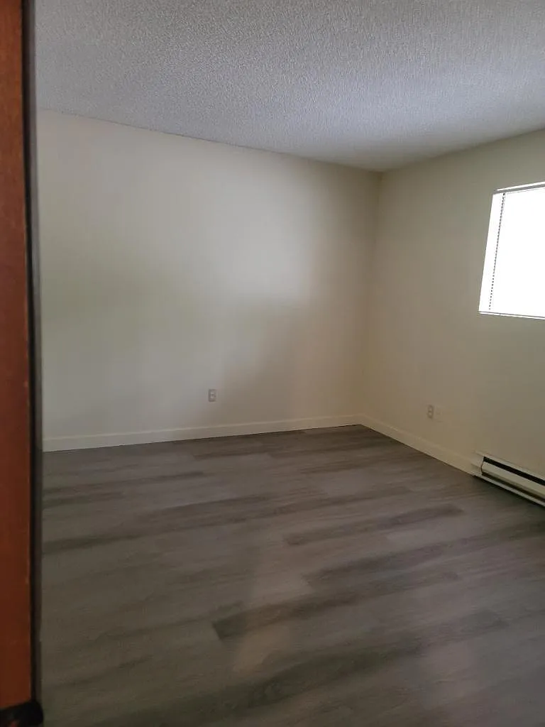 2 bed, 866 sqft, $1,900 — Photo 4