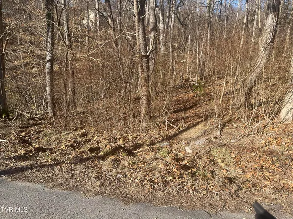 LOT 20 Kallen Dr, Kingsport, TN 37660