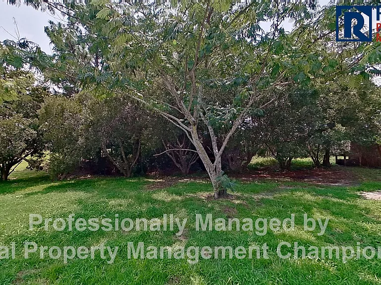2311 Sapling Cir — Photo 20