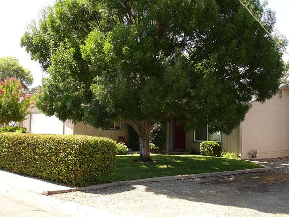 side front of yard and house