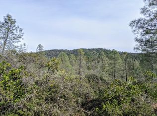 2080 Daffodil Ln, Georgetown, CA 95634