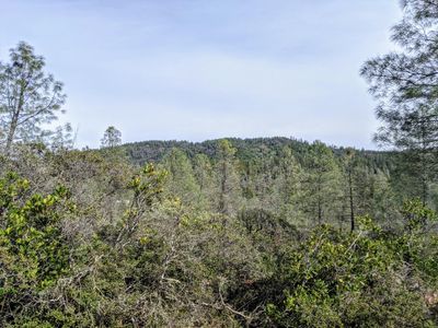 2080 Daffodil Ln, Georgetown, CA, 95634