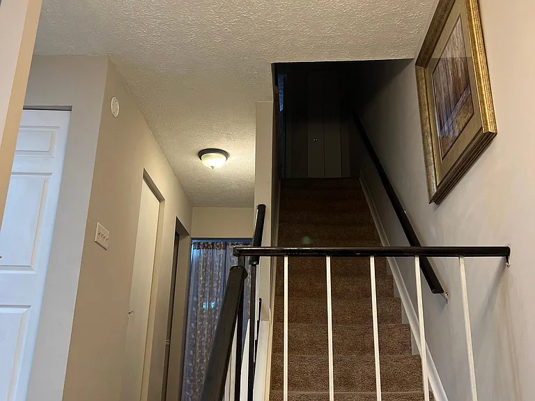 8548 Pine Run Ct — Photo 8