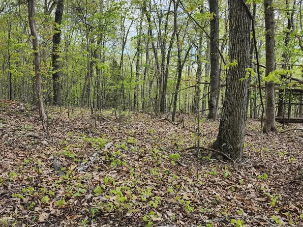 Spruce Dr, Spring City, TN 37381