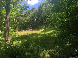 Sallys Branch Rd, Clyde, NC 28721