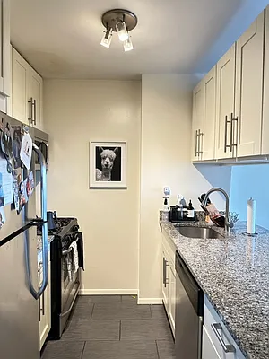 Rented by One Irving Place Realty | media 5