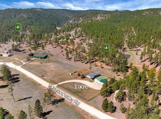 11666 Pleasant Valley Rd, Custer, SD 57730