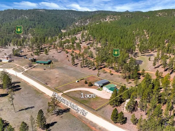 11666 Pleasant Valley Rd, Custer, SD 57730