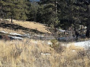 48 Shavano Trl, Florissant, CO 80816