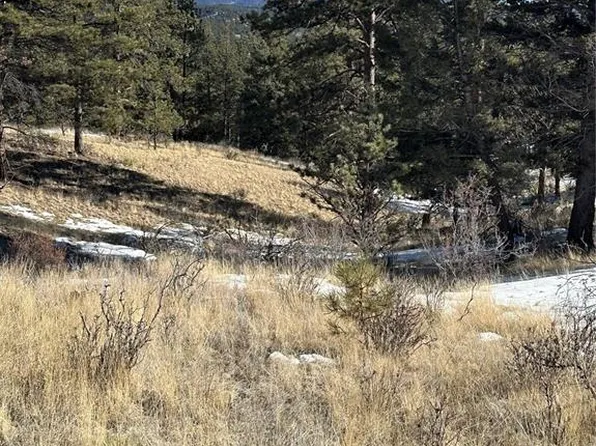 48 Shavano Trl, Florissant, CO 80816