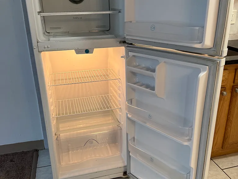 Fridge and Freezer