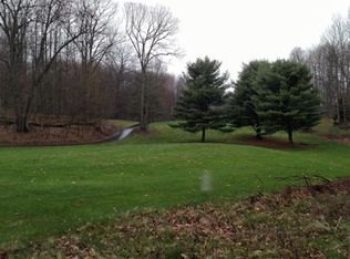 9392 E Circle Dr, Stanwood, MI