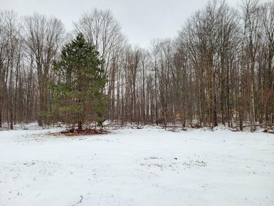 Cadillac Hwy, Copemish, MI, 49625