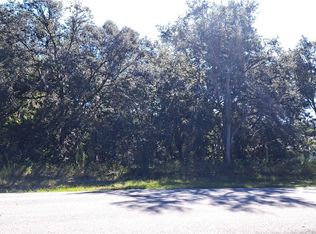 289 N Highview Ave, Hernando, FL 34442