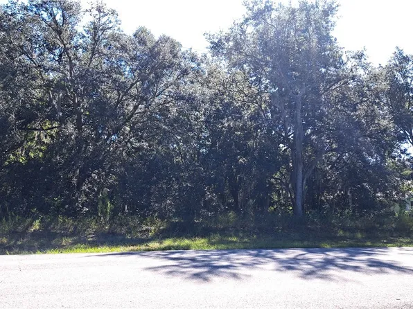 289 N Highview Ave, Hernando, FL 34442