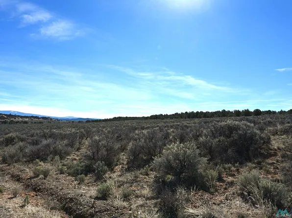 Pajarito, Tierra Amarilla, NM 87575