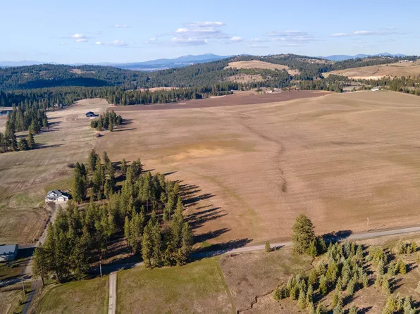 13109 E Gibbs Rd, Mica, WA 99023