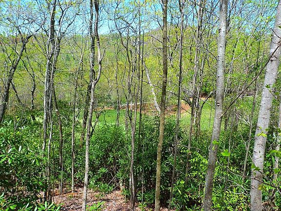 5th image of 62 Old Hickory Trl #158