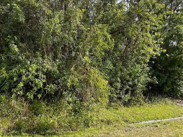 0 SE 44th Ave #4, Summerfield, FL 34491