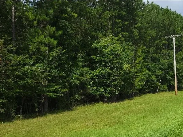 Highway 63 N, Leakesville, MS 39451