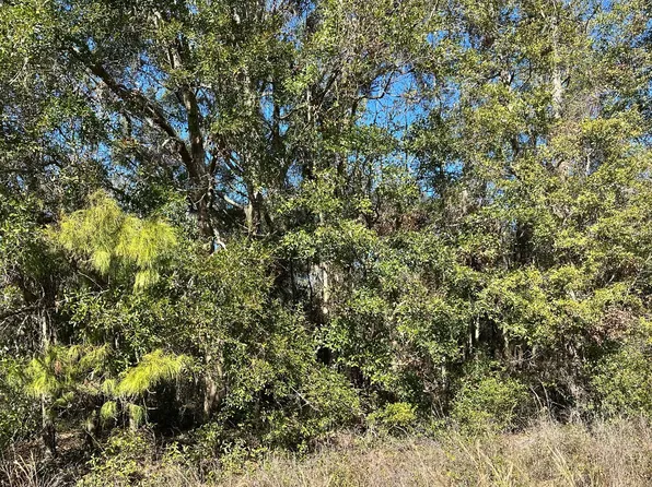 SW Branch Dr #2-3-4, Lake City, FL 32024