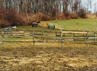 2814 Perry Park Rd, Perry, OH 44081