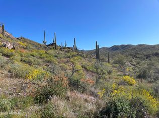 Xdx N Elephant Butte Rd, Gold Canyon, AZ 85118