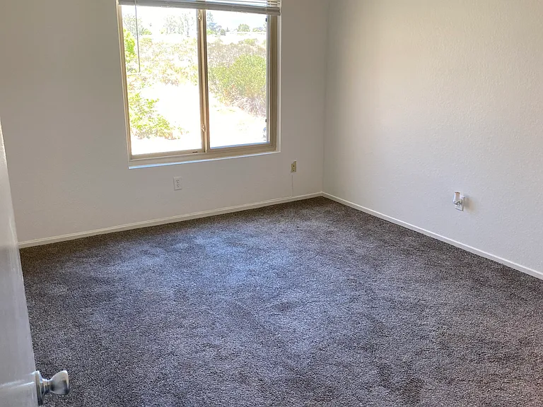 10702 Dabney Dr — Photo 13