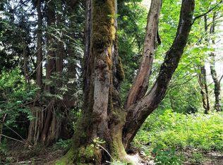 0 Center St, Concrete, WA 98237