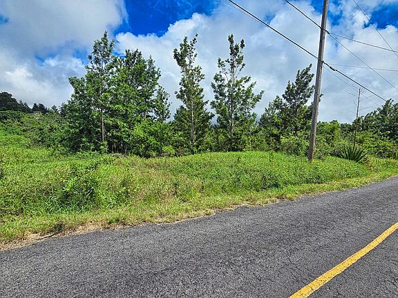 3rd image of Bamboo Ln Lot 13