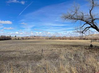 PARCEL 2 Locust Rd, Montrose, CO 81401